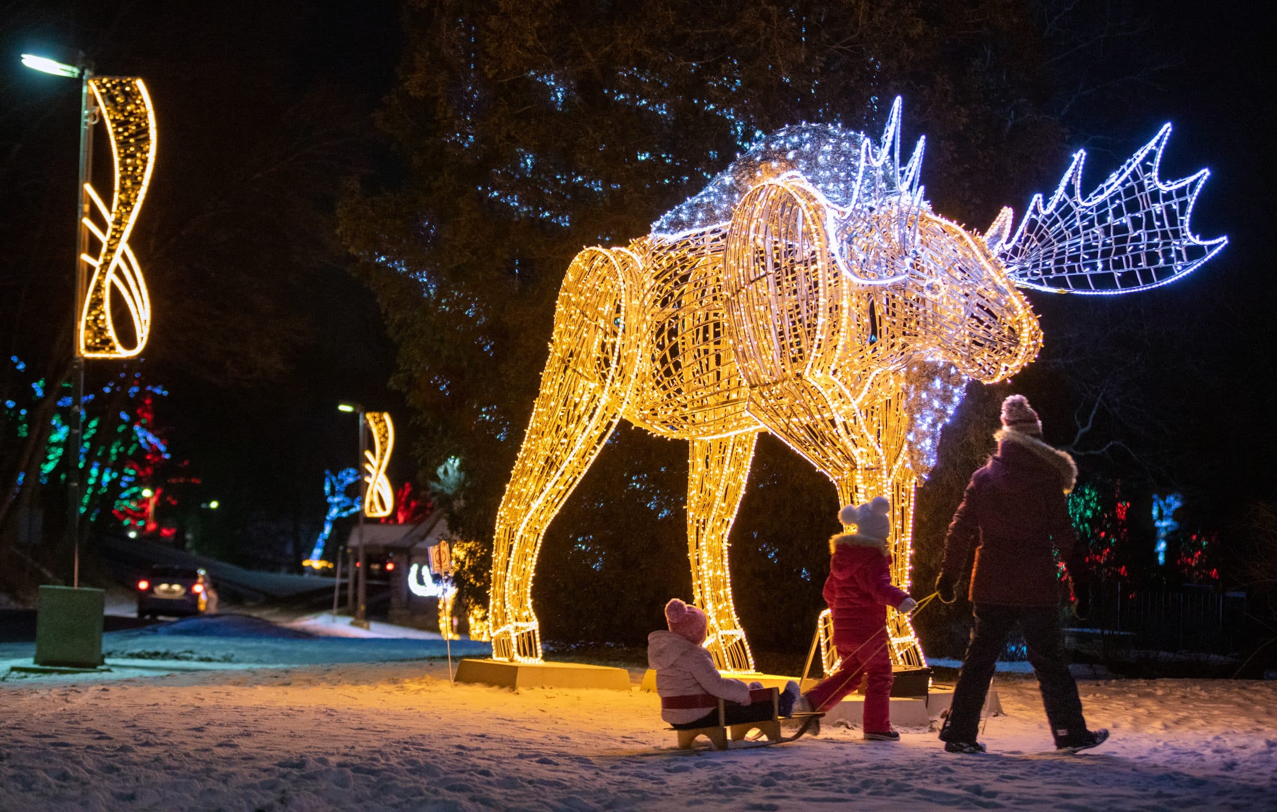 Canada's Largest Light Display - Winter Festival of Lights in Niagara Falls