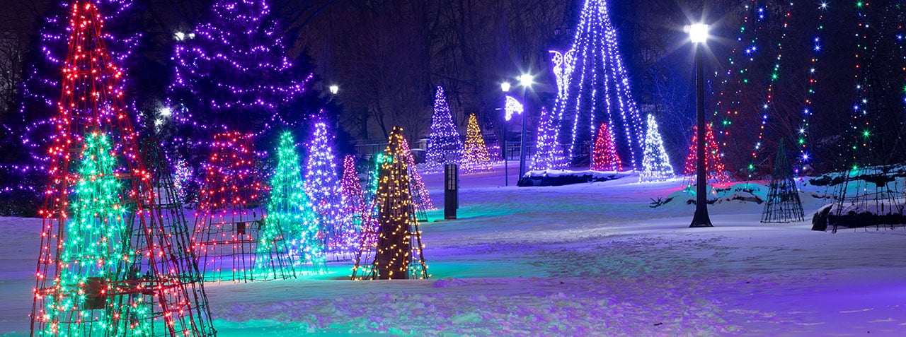 Winter Festival of Lights in Niagara Falls Ontario