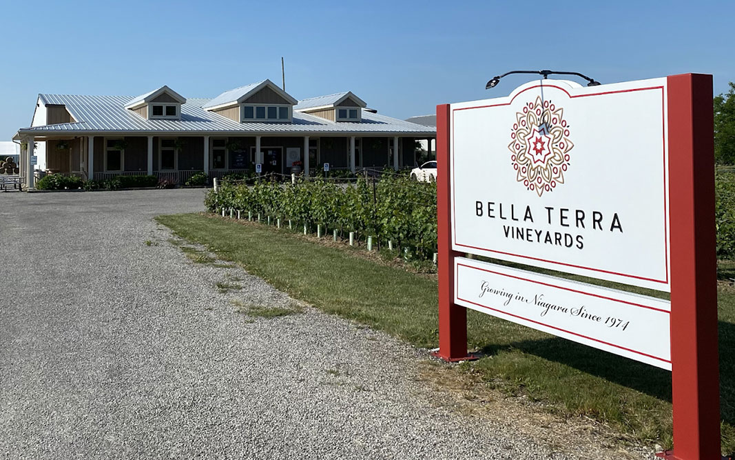 Bella-Terra-Vineyards