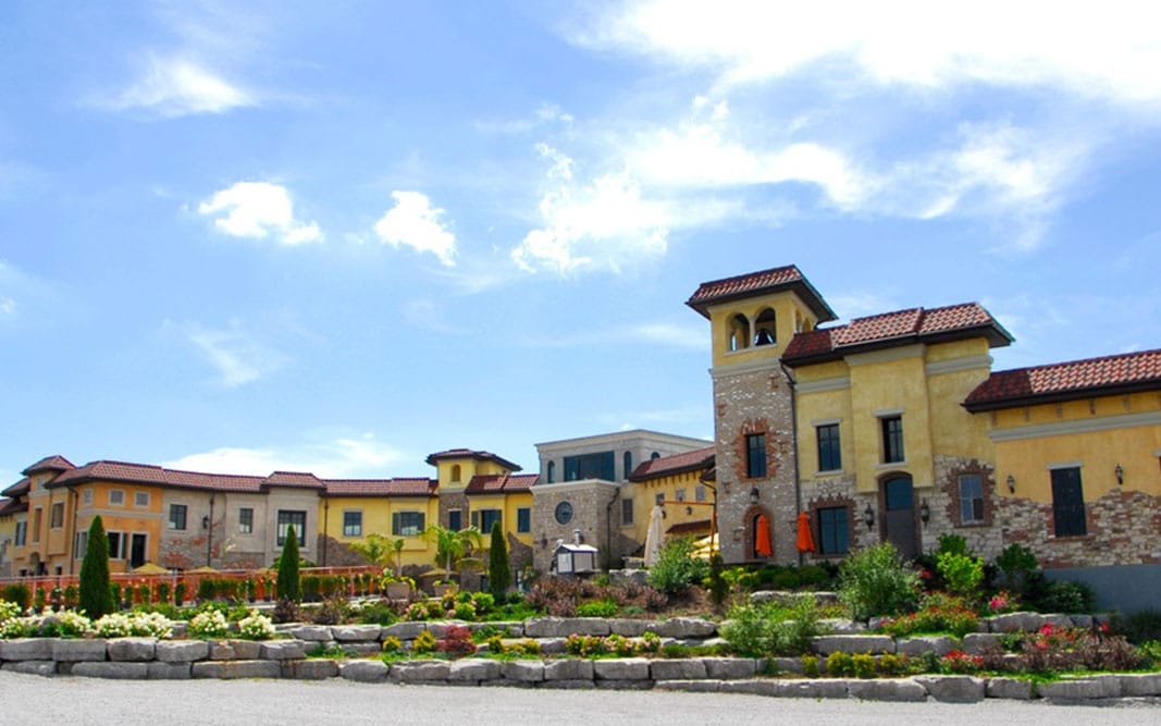 Colaneri-Estate-Winery