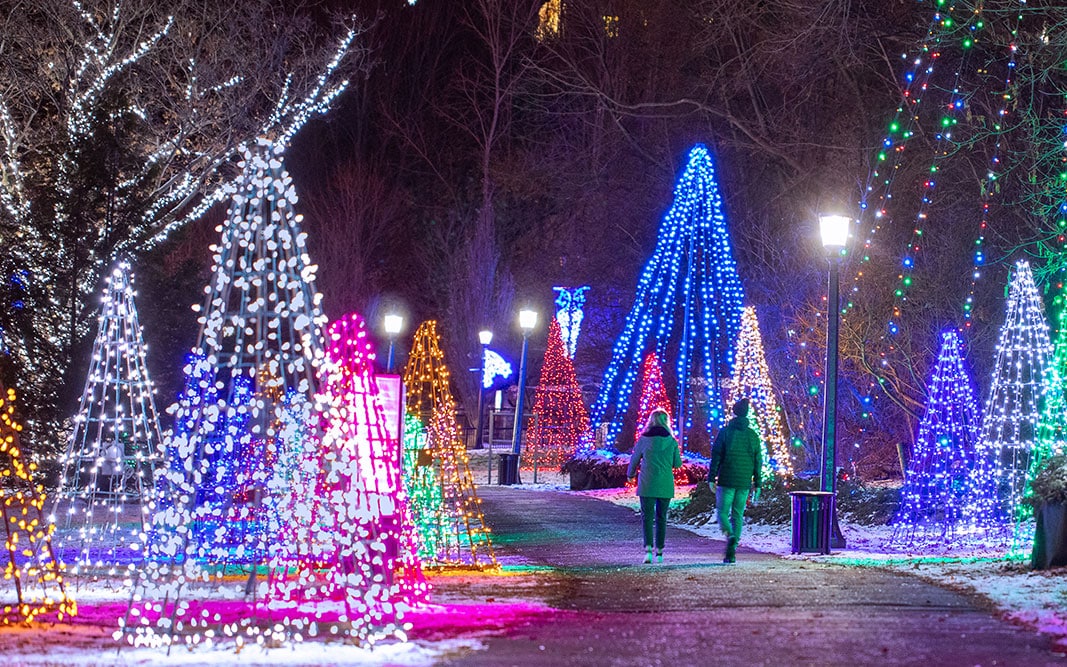 Winter-Festival-of-Lights-Niagara-Falls-Tourism